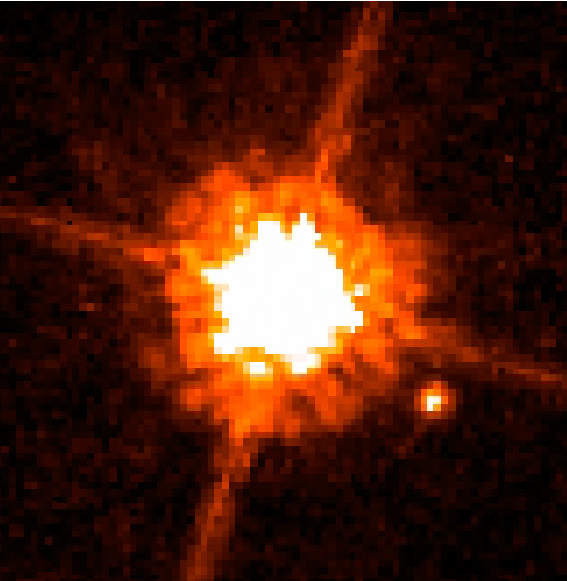 Red Dwarfs: The Most Common and Longest-Lived Stars